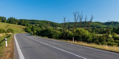 Одна біла лінія врятувала мільйони життів за останні 70 років: про що йдеться