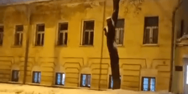 "Везде раненые": партизаны пробрались в главный военный госпиталь Москвы (фото, видео)