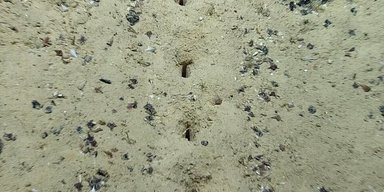 Поразили всех. На дне Атлантического океана обнаружили загадочные дыры (фото)