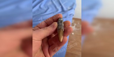 В Одессе группа ПВО работала по "Шахедам": пуля пробила потолок в квартире жителя города (видео)
