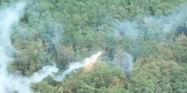 "Дроны-драконы" можно использовать для уничтожения САУ: в Defense Express рассказали детали