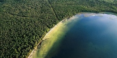 В Україні є унікальне "озеро молодості": чому тут варто відпочити і як доїхати (фото)