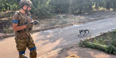 Разведывают окрестности и обнаруживают мины-ловушки: ВСУ ввели в бой в Донецкой области более 30 собак-роботов