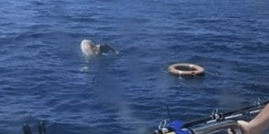На Тайвані чоловік майже добу пробув у морі на надувному крузі (фото)