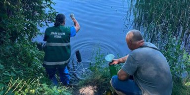 Погибло около трех тонн рыбы: в Киевской ОВА назвали источник загрязнения водоемов