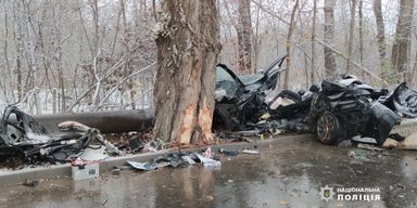 У Чернівцях легковик в'їхав у дерево через погоду: загинуло троє людей (фото)