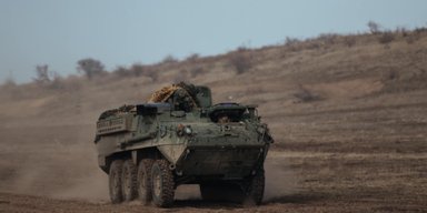 Stryker на службе десантников: 80 бригада ДШВ показала американские БТРы (фото)