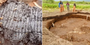 Самый древний из найденных: обнаружены уникальные артефакты на Аляске, их связывают с ткачеством