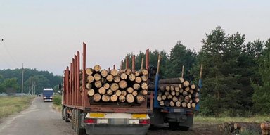 Деревообработчики заявляют, что "Ліси України" и биржа уничтожают отрасль