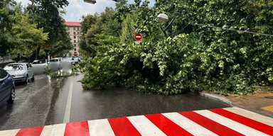 Ураган в Киеве: в городе более 30 поваленных деревьев, есть пострадавшие (фото, видео)