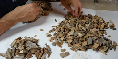 Ученые выяснили, что неандертальцы хоронили своих усопших