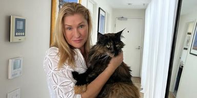 Потерявшийся кот, который бродил по миру тремя самолетами, вернулся домой в бизнес-классе