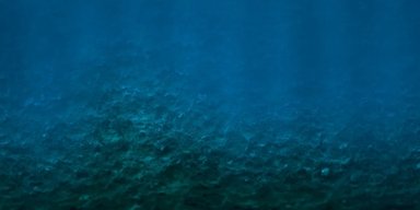 Щось несподіване створює на дні океану 5-метрові кола: вчені помилялися в тому, що їх створило