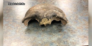 В реке Миннесоты нашли череп возрастом почти 8000 лет