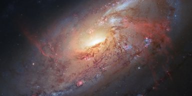 Никуда не скрыться. Ученые заявили, что вирусы могут существовать повсеместно во Вселенной