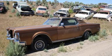 Брошенные раритеты: в США нашли свалку с сотнями редких автомобилей (фото)