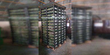 До України завезли сотні кілограмів небезпечних продуктів із Туреччини: деталі (фото)