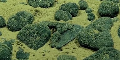 На дне глубокого океана найдены зубы гигантского хищника: размером с ладонь и покрыты металлом (фото)