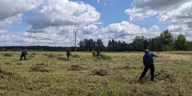 Розмінування України: у Херсонській області сапери обстежили майже 20% правобережжя