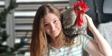 Українка врятувала курча від загибелі: тепер вони живуть разом у квартирі (відео)