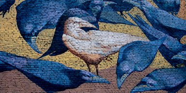 Белые вороны. Четыре истории тех, кто столкнулся с дискриминацией, но не стал ее жертвой
