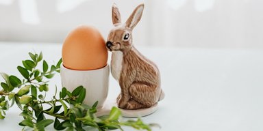 Идеальное вареное яйцо. Простой рецепт с секретом: как приготовить яйца всмятку