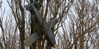 На дереві застряг російський дрон-приманка на Київщині: що відомо (фото)