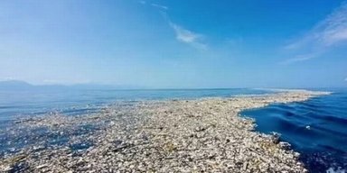 Велику тихоокеанську сміттєву пляму більше не можуть знищити: стала домівкою для десятків видів