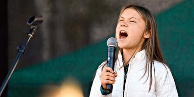 Від Ела Гора до Грети Тунберг. Навіщо екологію використовують у політиці та хто вигадав екологічний саміт