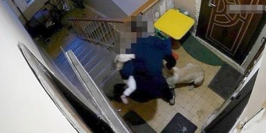 Кинув зі сходів на очах у дитини: киянина засудили до 7,5 років ув'язнення за вбивство собаки