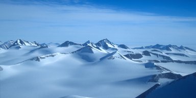 Лише одна комаха у світі здатна вижити в суворій Антарктиді: вона розміром із мураху (відео)