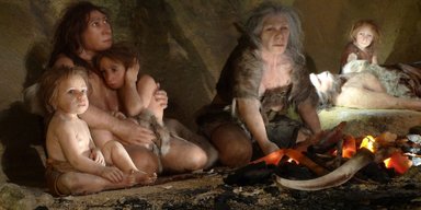 Голливудская улыбка по-неандертальски. Ученые выяснили, что предки человека также ухаживали за зубами