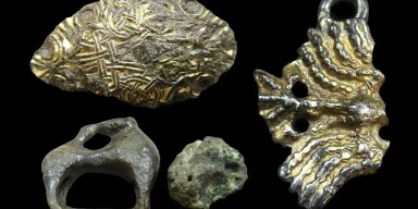 Люди, животные и корабли: археологи обнаружили более сотни захоронений викингов