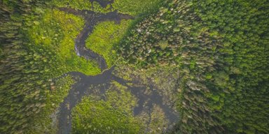 Щодня формують вигляд Землі: названо тварин, які зводять гори і змінюють водні шляхи (відео)