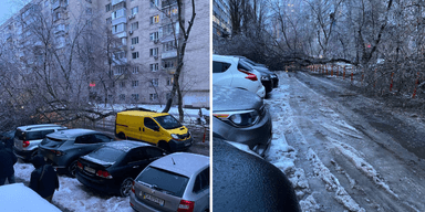 Непогода в Киеве: из-за сильного ветра падают деревья, а улицы столицы стали "катком" (видео)