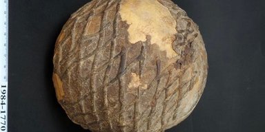 Ученые раскрыли секрет 9000-летнего черепа, украшенного асфальтом (фото)