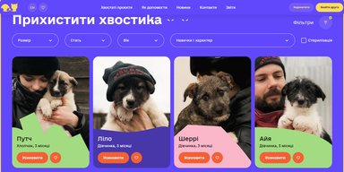 Притулок "Сіріус" запрошує на "Adopt Me Days" 10-11 лютого на ВДНГ