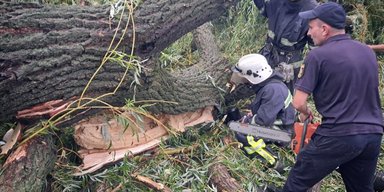Непогода в Одесской области: дерево упало на палатку с детьми, погиб подросток