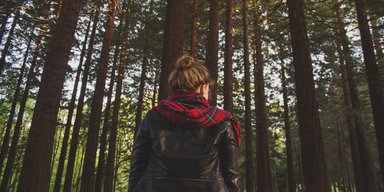 Женщина, заблудившаяся в лесу на 11 дней, утверждает, что ее спас "Божий посланник"