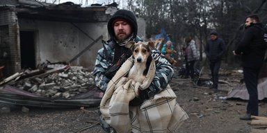 У Запоріжжі ЗС РФ влучили по собачому притулку: влаштували "жахливий терор", — міськрада (фото)