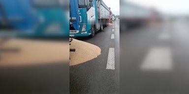 "Поступок отчаяния": в Польше отреагировали на рассыпанное возле границы украинское зерно