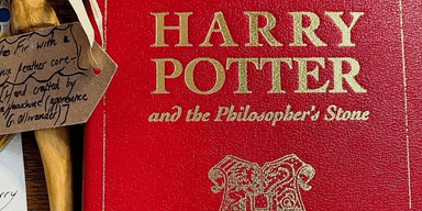 Пережила пожар: редкая книга о Гарри Поттере будет продана за ошеломляющую сумму (фото)