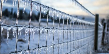 Погода 17 февраля: где в Украине похолодает до -18