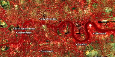 Простий трюк дозволить знизити температуру в місті на 2°C: що врятує в найспекотніші дні