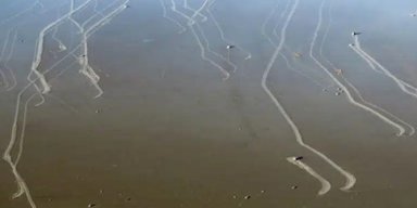 Гигантские камни в Долине Смерти движутся сами по себе: их "миграцию" даже смогли записать (видео)