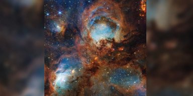 Космический телескоп Уэбб отметил трехлетие снимком Кошачьей лапы размером 90 св. лет (фото)