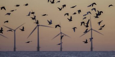 Найбільше у світі "поле" гігантських морських вітрогенераторів розпочало роботу в Південно-Китайському морі