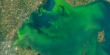 В Одессе вода в море начала светиться ярко голубым цветом: что произошло (видео)