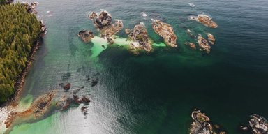 Найбільші запаси золота і міді знайдено в останньому притулку дикого лосося: вчені схвильовані