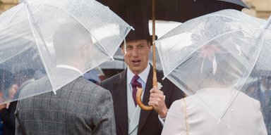 Принц Уильям посетил садовую вечеринку без Кейт Миддлтон (фото, видео)